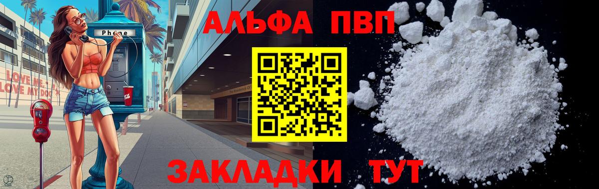 A PVP СК КРИС Кингисепп