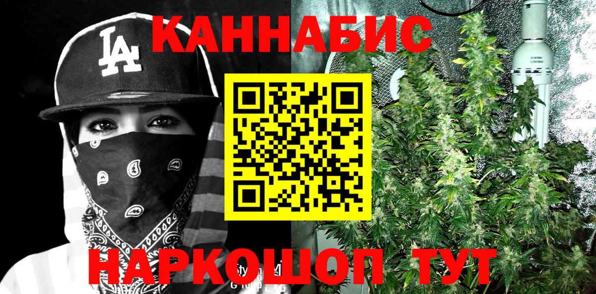 Кингисепп  Канабис Bruce Banner  Конопля сатива  Вход с VPN  Каннабис сатива 